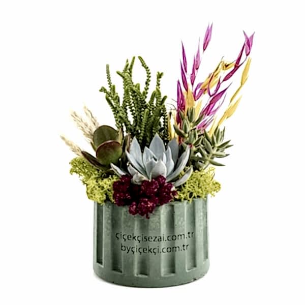 Turkuaz Saksıda Garden Teraryum