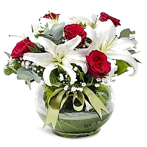 Fanusta Lilyum Dansı