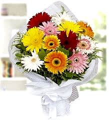 Renkli Gerbera Buketi