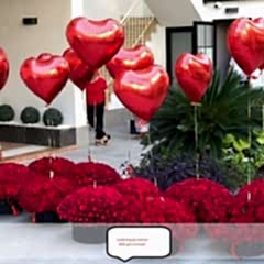 1001 adet gül kutusu balonlarları