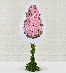 Pembe Gerbera Çelengi