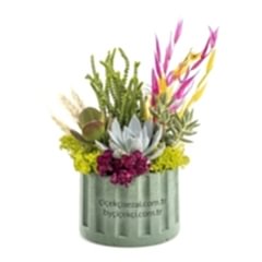 Turkuaz Saksıda Garden Teraryum