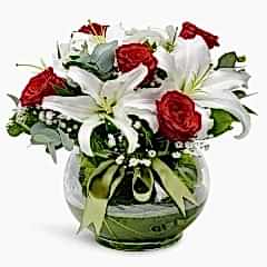 Fanusta Lilyum Dansı