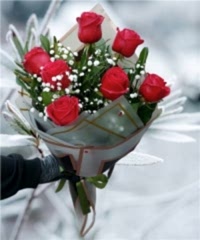 7 Adet Kırmızı Gül Buketi